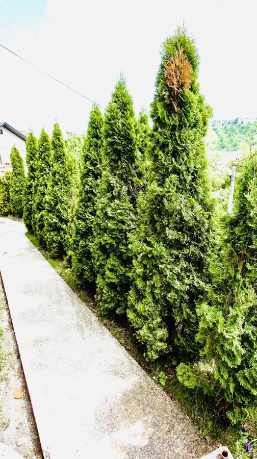 Apartmani In Zlatar Nova Varoš Eksteriør billede