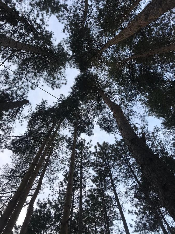 Apartmani In Zlatar Nova Varoš Eksteriør billede